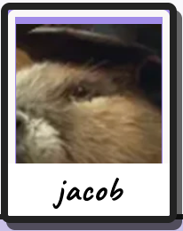 jacob 头像